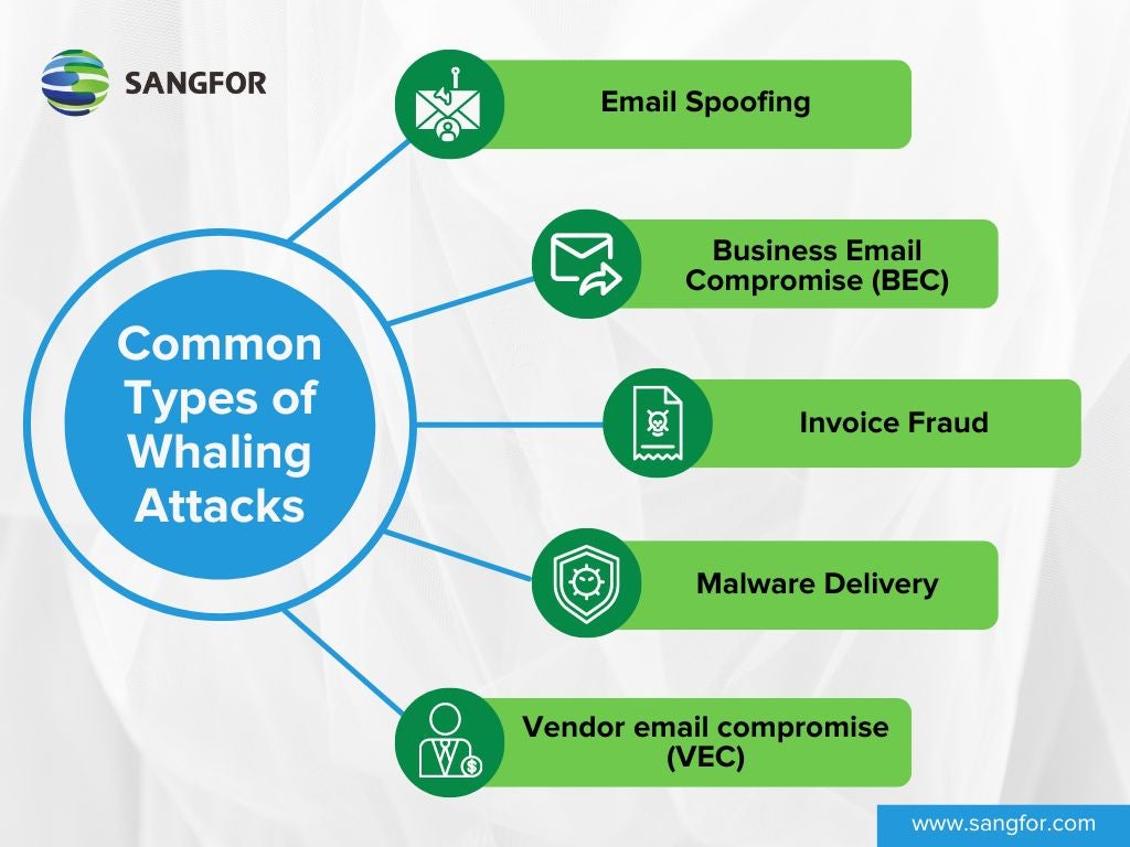 Common Types of Whaling Attacks