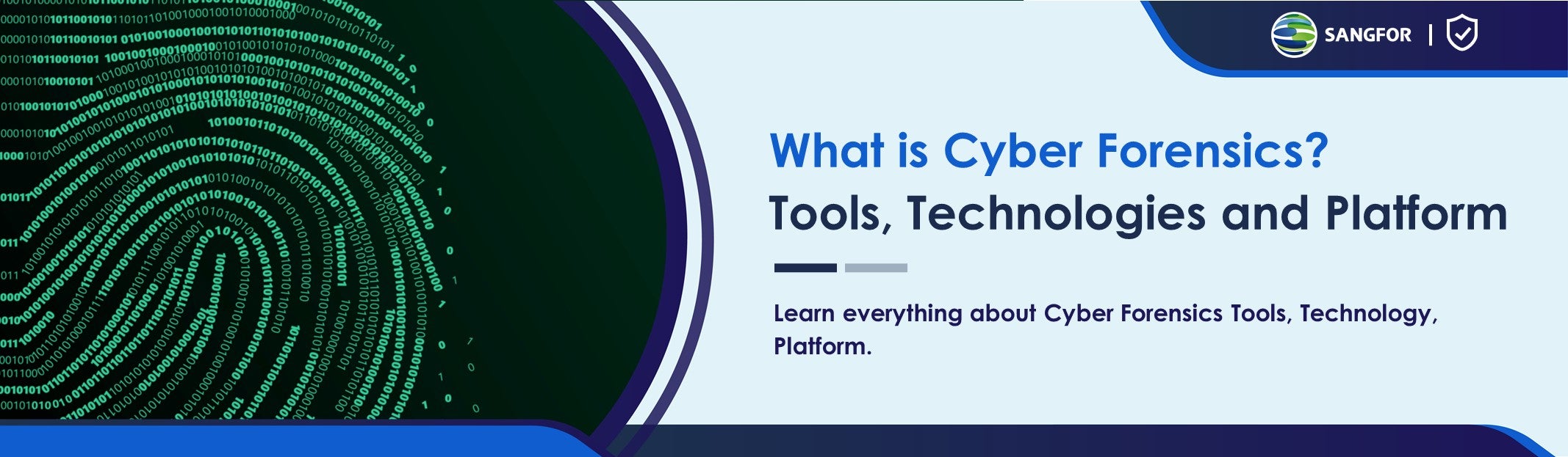 What is Cyber Forensics blog article