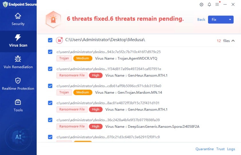 Security Advisory on Medusa Ransomware 6