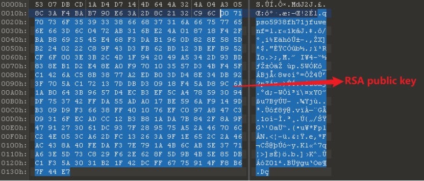 New RCRU64 Ransomware Variant Discovered by Sangfor FarSight Labs 22
