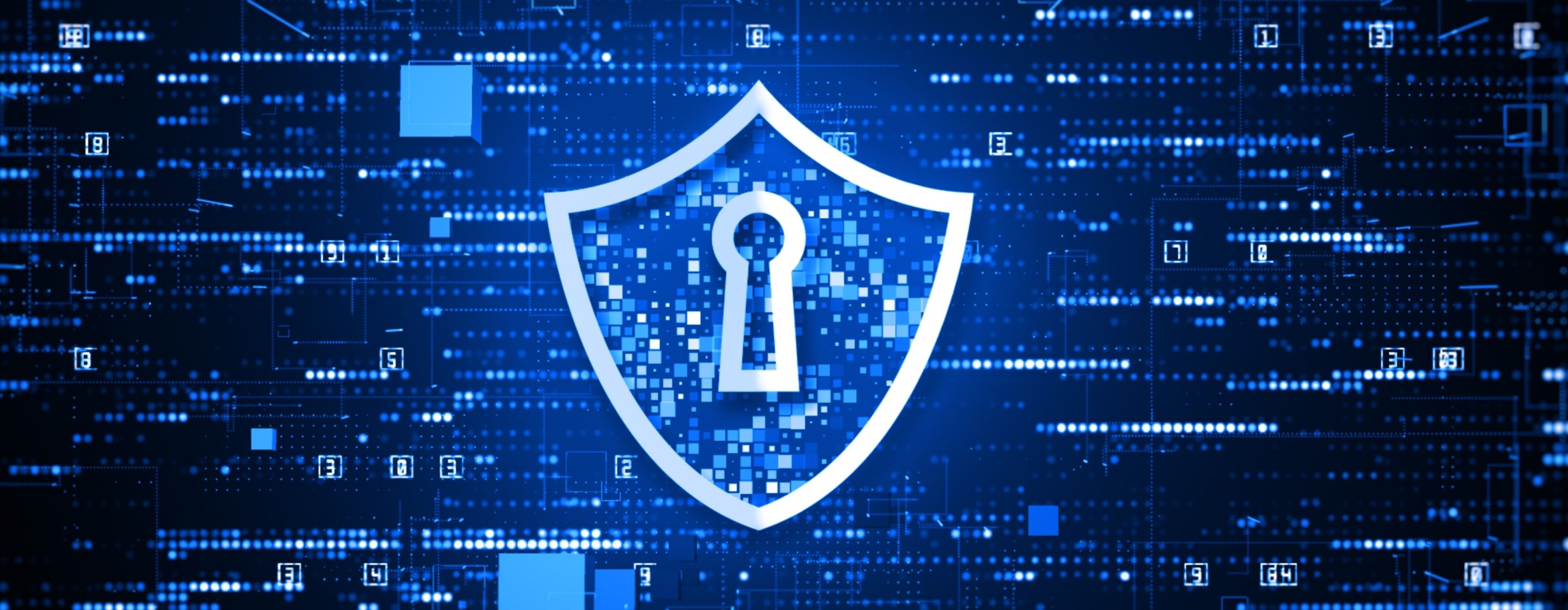 What-Is-Crypto-Malware
