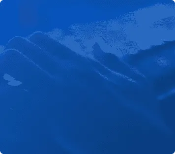 bd
