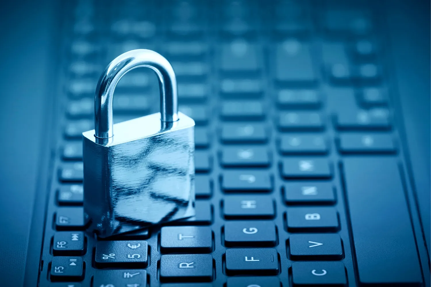 Why Your Organization’s Data Privacy and Security Is So Important for IT Business
