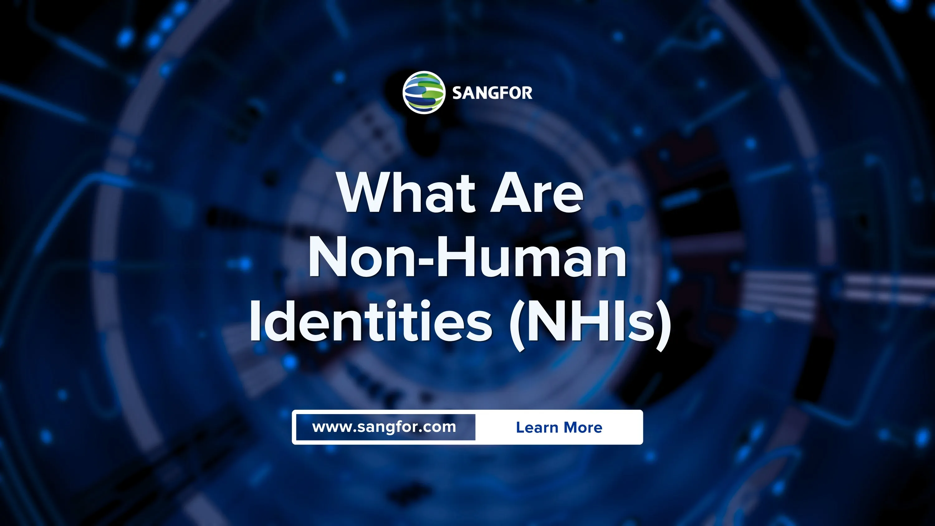 What Are Non-Human Identities (NHIs)?