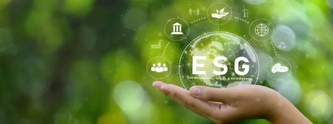 multi-dimentional-2 Environmental Responsibility